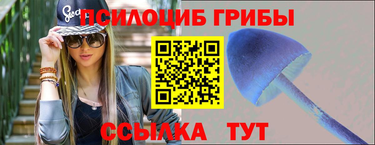 Ишим  Псилоцибиновые грибы ЛСД  Вход с VPN 