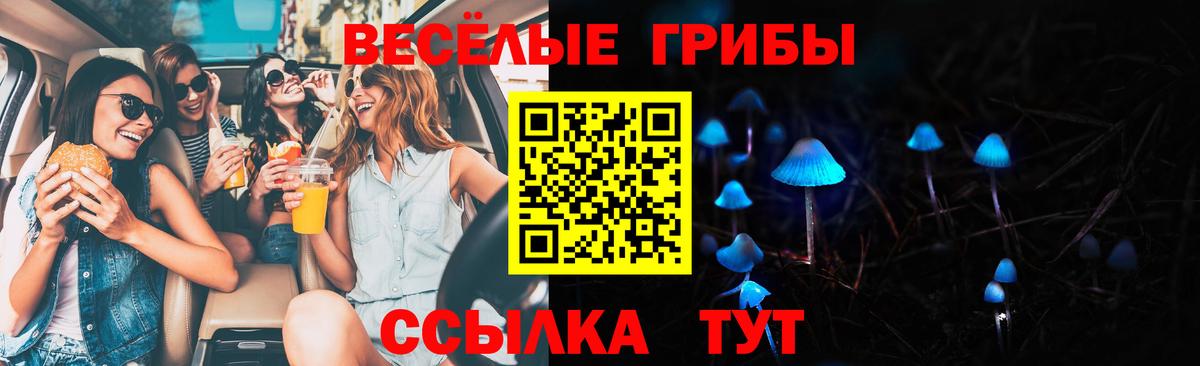 Псилоцибиновые грибы Magic Shrooms Ишим